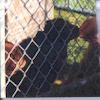 Old Family Picture Book 016.jpg